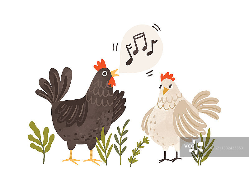 为母鸡唱歌的可爱风趣公鸡图片素材