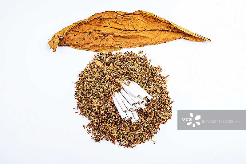 烟叶和卷烟图片素材
