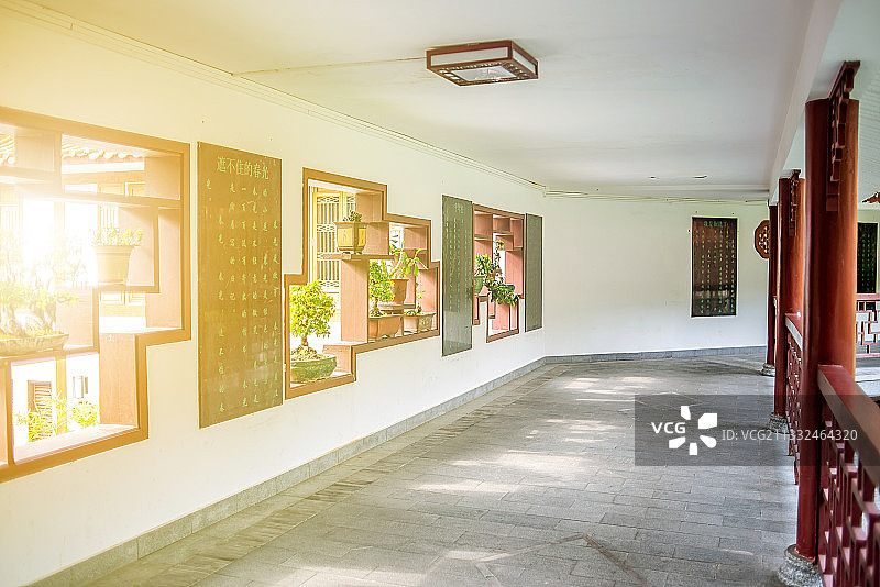 深圳仙湖植物园盆景园图片素材