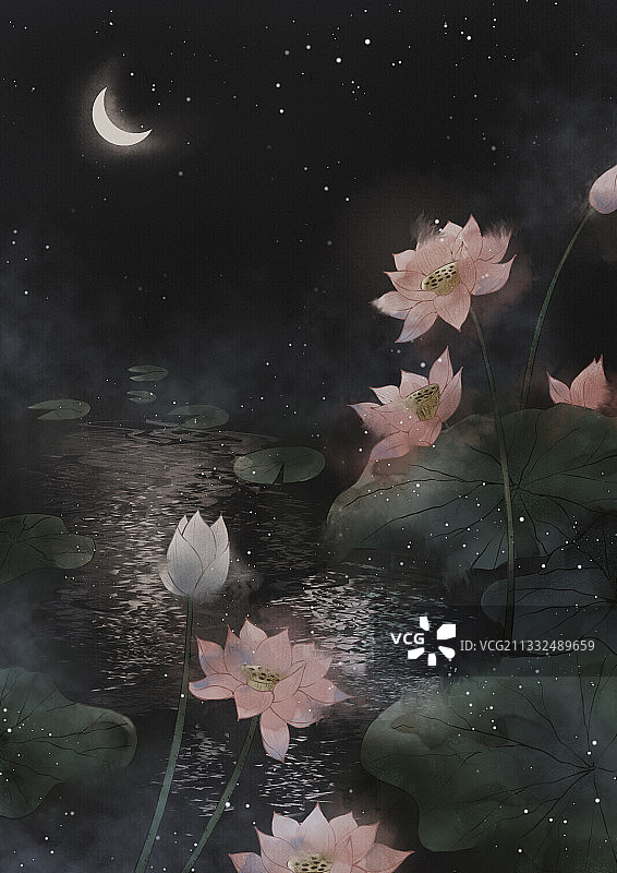 月下荷花图片素材