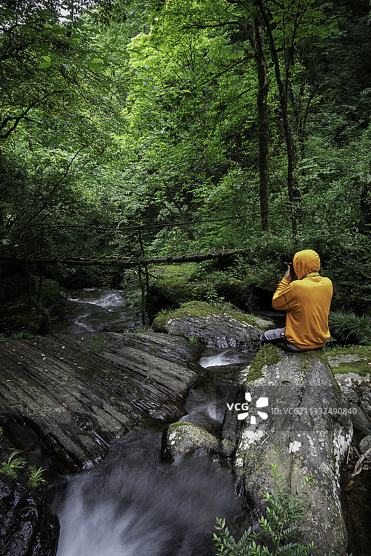 原始森林瀑布群图片素材