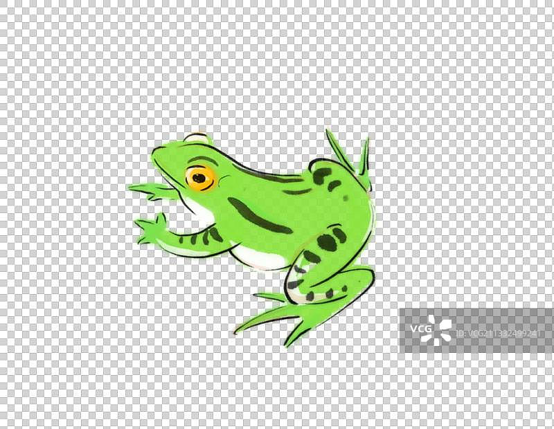 夏天水墨插画元素动物青蛙图片素材