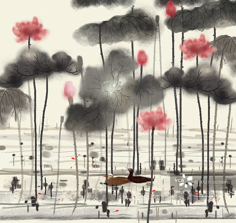 写意国画水墨荷塘 夏至的荷叶与荷花 鸭子与金鱼戏水图片素材