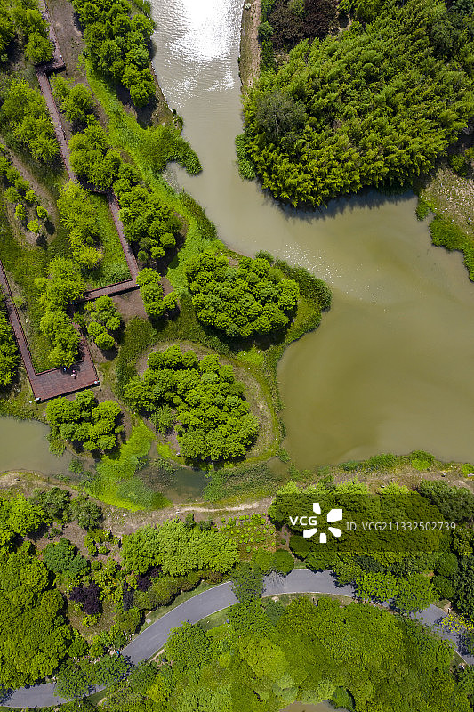 水系纵横湿地木栈道踏青散步好去处图片素材