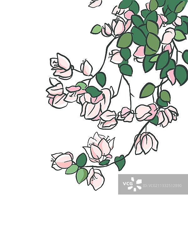 勒杜鹃图片素材