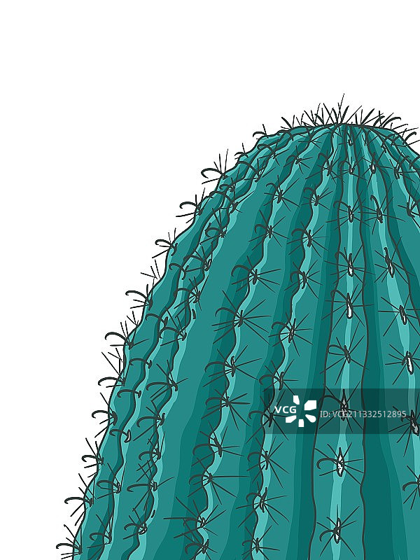 仙人柱图片素材