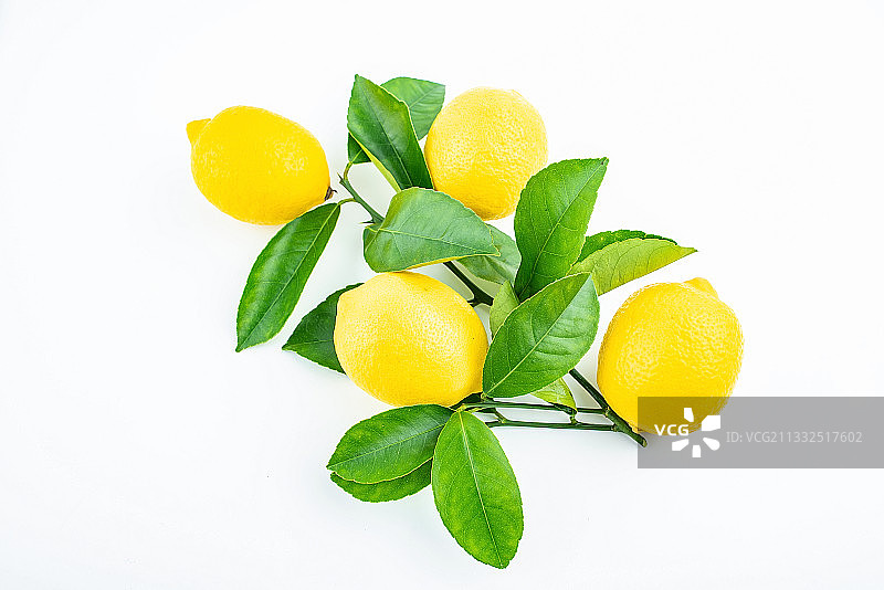 白背景上新鲜采摘的柠檬图片素材