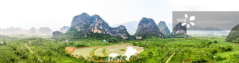 中国广东省清远市英德市黄花镇英德红茶茶园图片素材