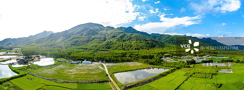 中国广东省江门市台山市都斛镇稻田图片素材
