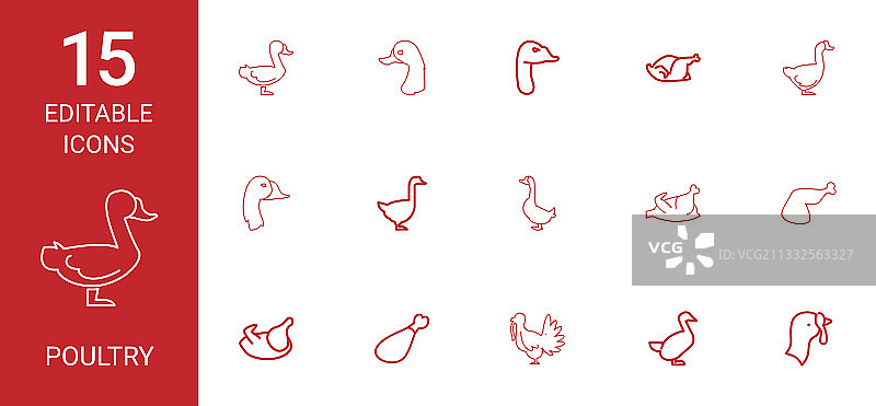 家禽图标图片素材