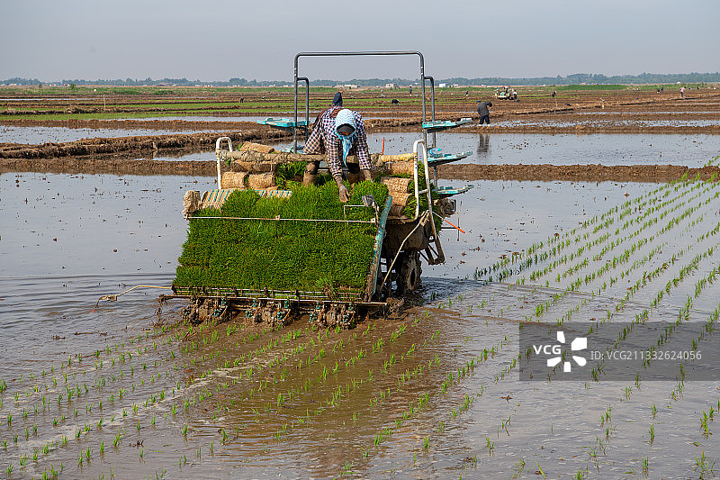 机械插秧图片素材