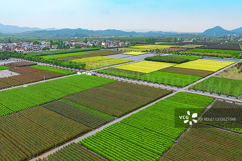 美丽乡村图片素材