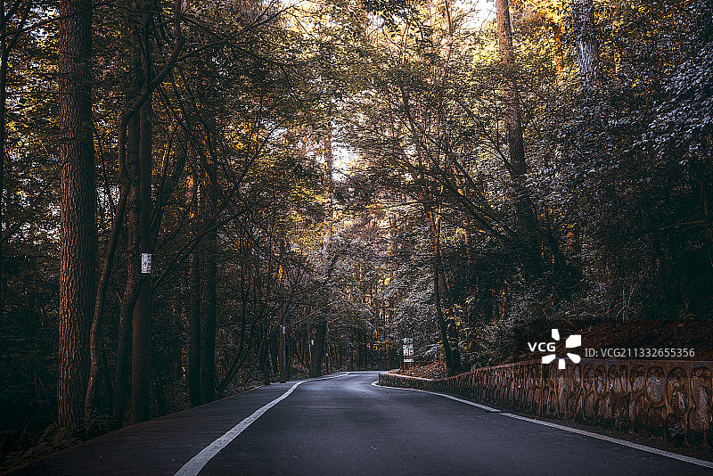 贵阳市南明区森林公园森林公路图片素材