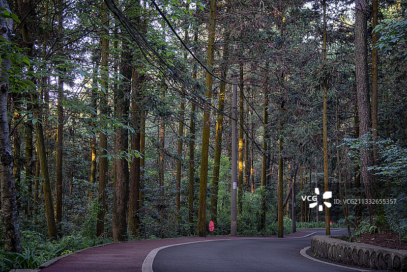 贵阳市南明区森林公园森林公路图片素材