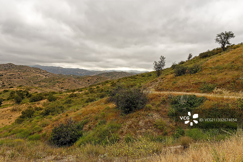 加利福尼亚州阿纳海姆的风景图片素材