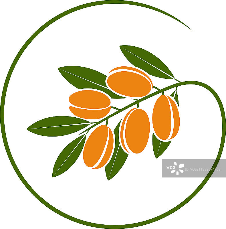 摩洛哥坚果图片素材