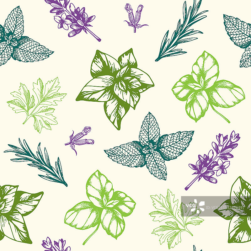 普罗旺斯草药无缝图案图片素材