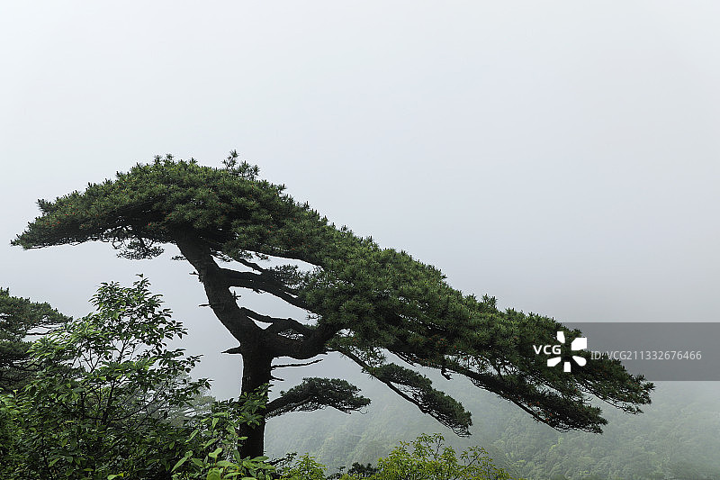 雾绕青山图片素材