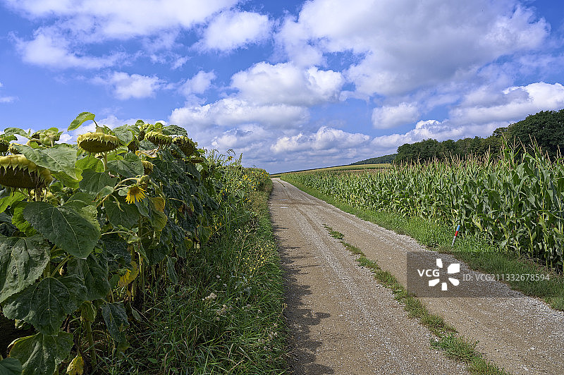 奥地利天空下的田野空旷道路图片素材