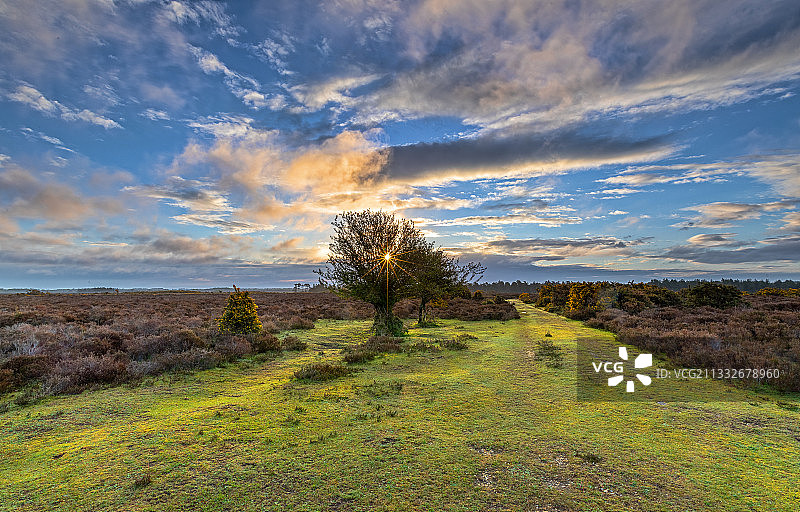 英国林德赫斯特日落时分田野风光图片素材