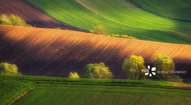 波兰的田园风光图片素材