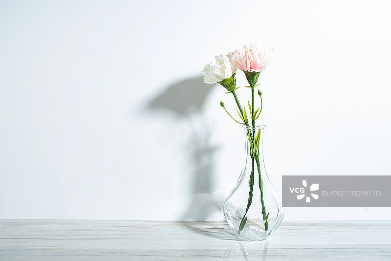 室内的花瓶和康乃馨图片素材