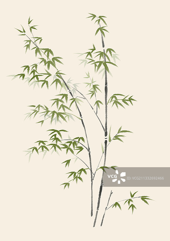 竹子图片素材