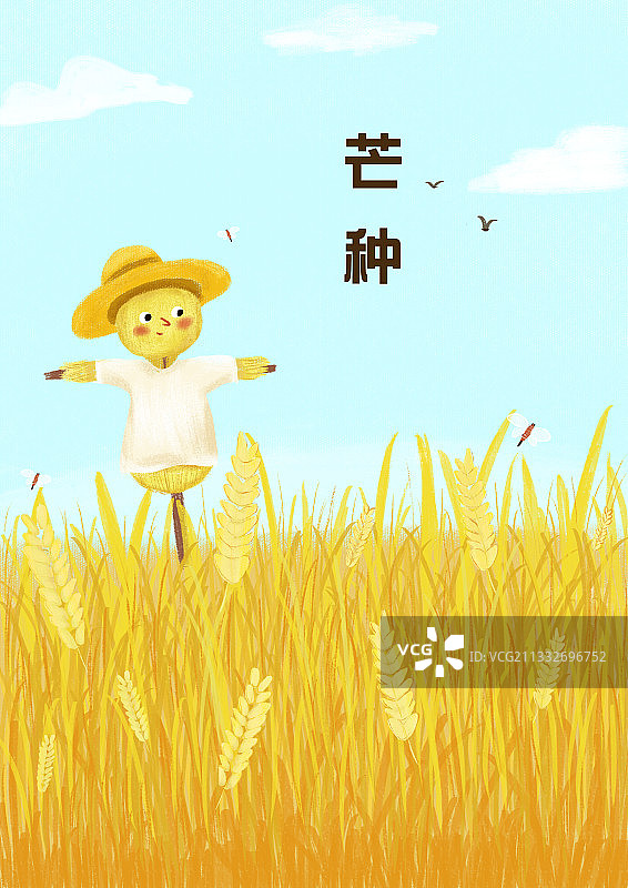 24节气芒种图片素材