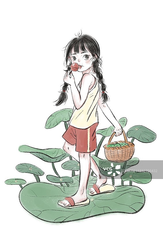 夏日摘莲蓬图片素材