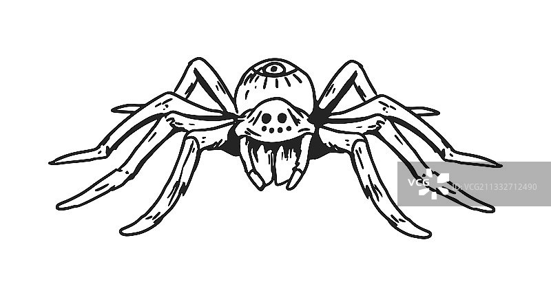 背部有球体的可怕蜘蛛图片素材