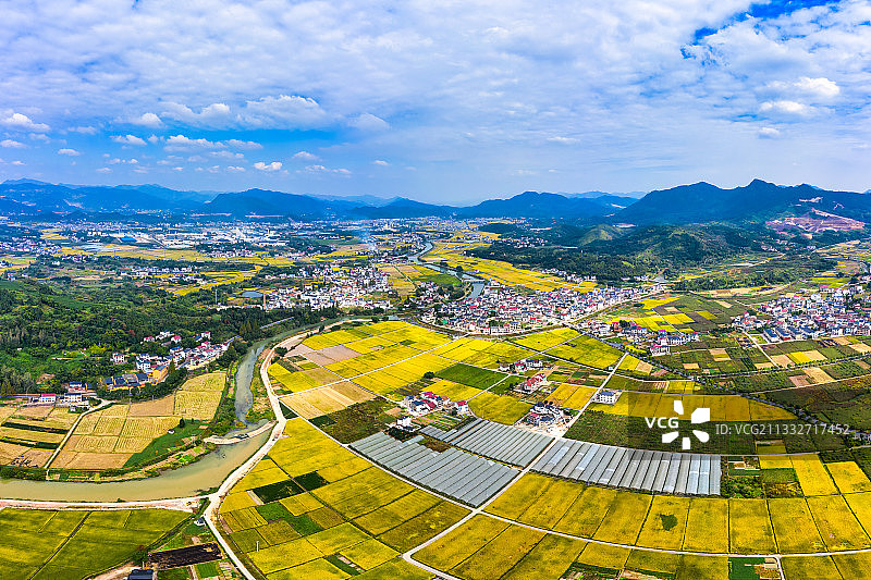 浙江杭州大同建德稻香小镇秋季风光图片素材