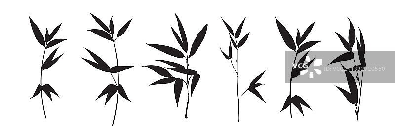 白色背景上的不同竹枝合集图片素材