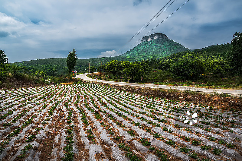 抱犊崮夏季秀色2图片素材