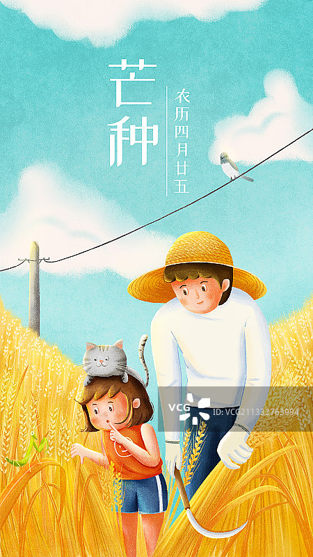爸爸和女儿在麦田里收割麦子图片素材