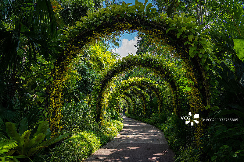 曲径通幽图片素材