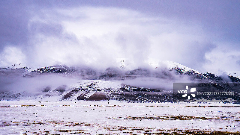 玉树藏族自治州巴塘草原牧场图片素材