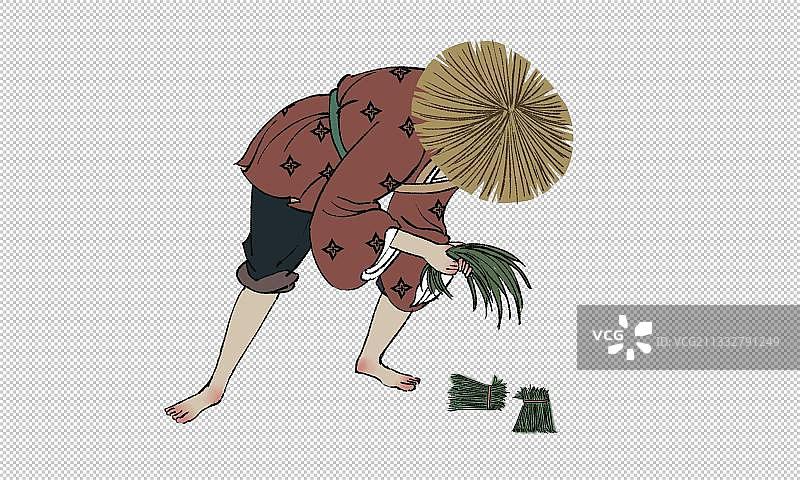 插秧的人图片素材