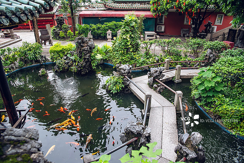 广东省佛山祖庙孔圣园内的鲤鱼池园林景观图片素材