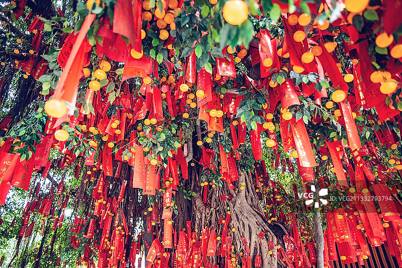 广东省佛山祖庙孔圣园内许愿树上挂满的红色许愿带图片素材