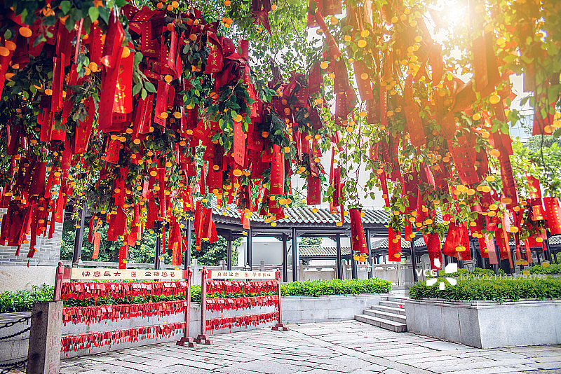 广东省佛山祖庙孔圣园内许愿树上挂满的红色许愿带图片素材