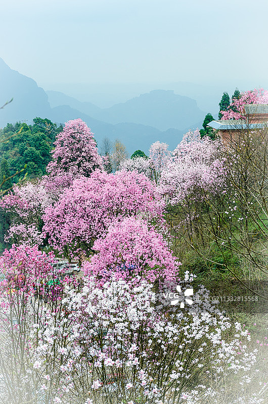 北川药王谷 绵阳图片素材