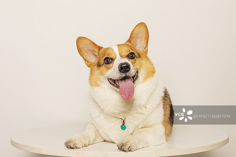 纯色背景图片素材