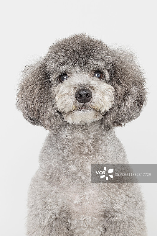 纯色背景图片素材