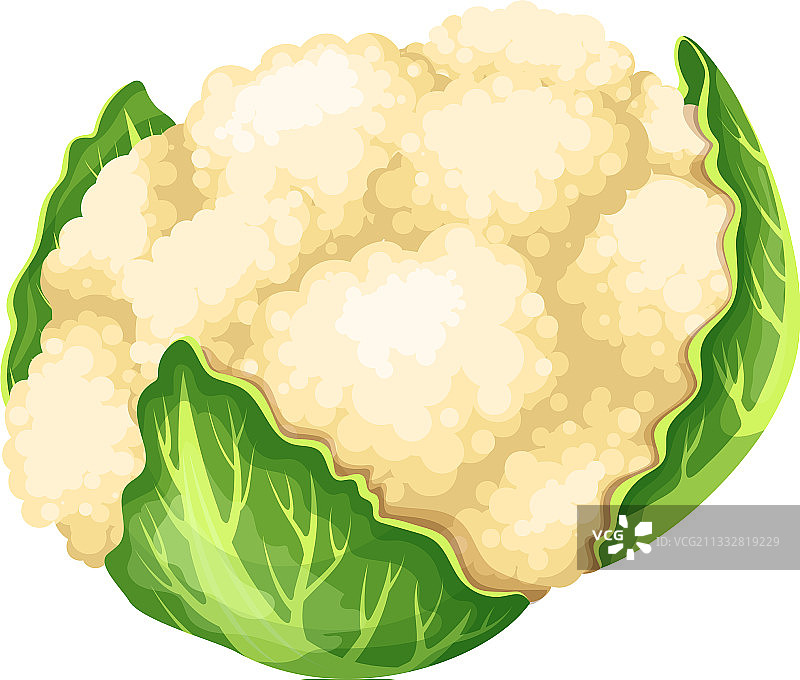 菜花蔬菜图标图片素材