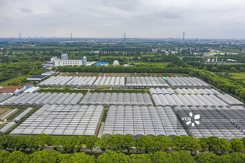 上海菲尼克斯庄园现代农业采摘棚图片素材