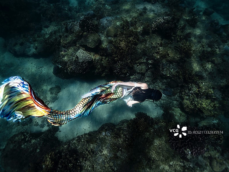 鱼嫩嫩图片素材