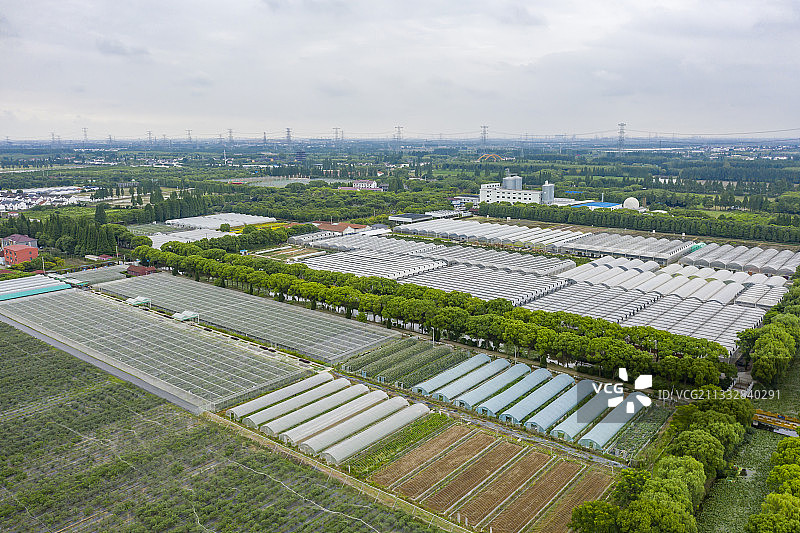 上海菲尼克斯庄园休闲农业观光图片素材