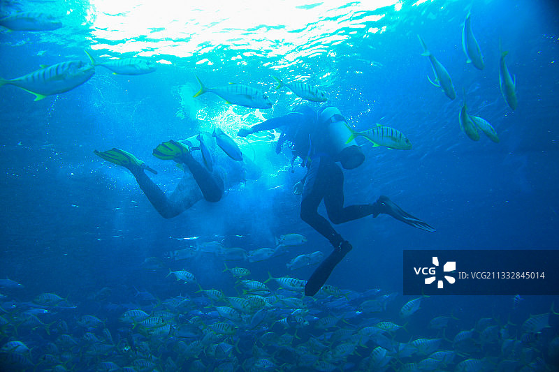 第一次潜水图片素材