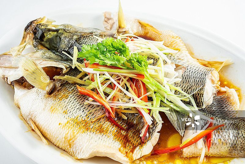 中国粤菜一碟清蒸鲈鱼图片素材