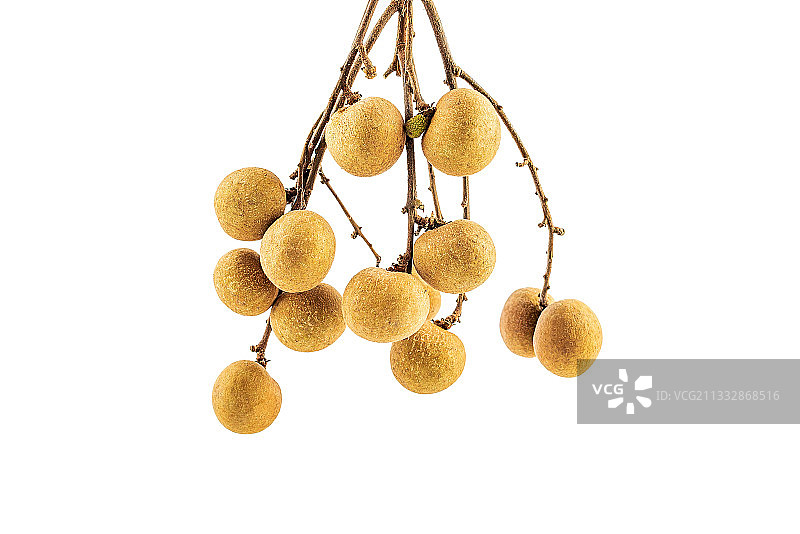 白背景上一串新鲜水果桂圆图片素材